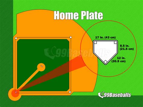 プロ野球 規定打席：なぜ猫は野球をしないのか？